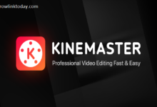 KineMaster Video Editing