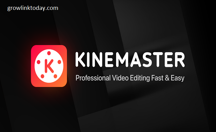 KineMaster Video Editing